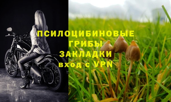 mdpv Армянск